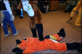 IMG_3345.jpg