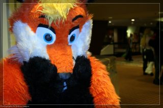 IMG_3394.jpg