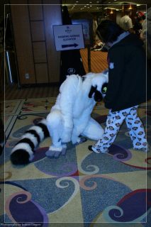 IMG_3405.jpg