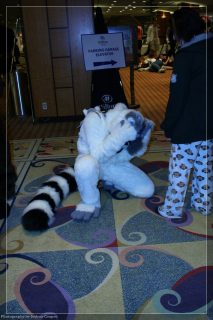 IMG_3406.jpg