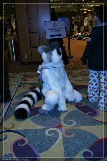 IMG_3407.jpg
