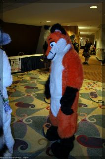 IMG_3414.jpg