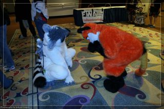IMG_3422.jpg
