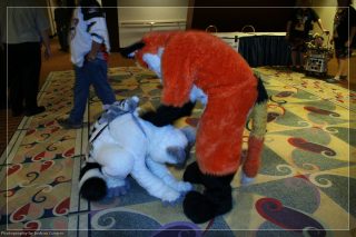 IMG_3427.jpg