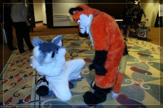IMG_3430.jpg