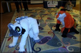 IMG_3434.jpg