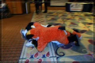 IMG_3440.jpg