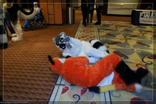 IMG_3443.jpg