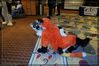 IMG_3446.jpg