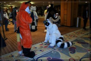 IMG_3452.jpg