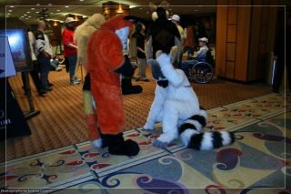 IMG_3457.jpg