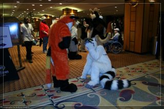 IMG_3458.jpg