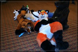 IMG_3467.jpg