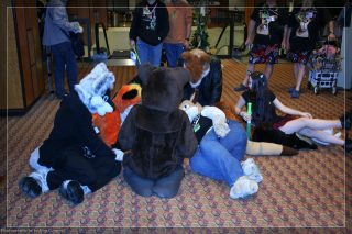 IMG_3487.jpg