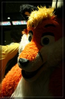 IMG_3527.jpg