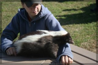 IMG_7766.jpg