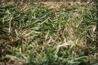 IMG_7824.jpg