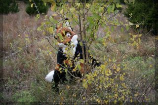 IMG_8403.jpg