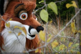 IMG_8427.jpg