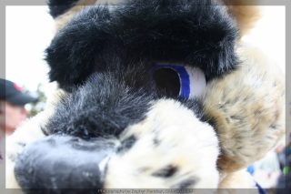 IMG_8505.jpg