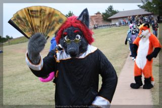 IMG_8611.jpg