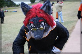 IMG_8612.jpg