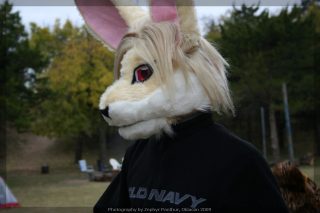 IMG_8642.jpg