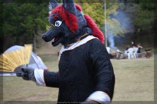 IMG_8647.jpg
