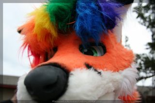 IMG_8943.jpg