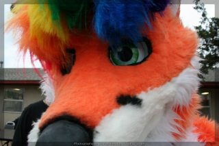 IMG_8944.jpg