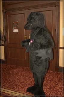 IMG_2322.jpg