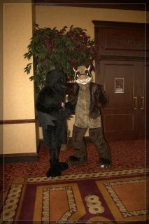 IMG_2338.jpg