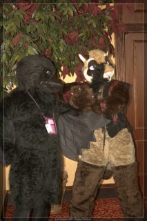IMG_2339.jpg