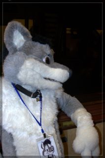 IMG_2421.jpg