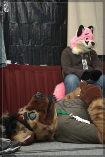 IMG_2620.jpg