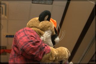 IMG_2642.jpg