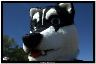 IMG_0326.jpg