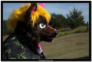 IMG_0327.jpg