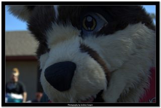 IMG_0470.jpg