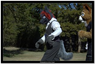 IMG_0720.jpg