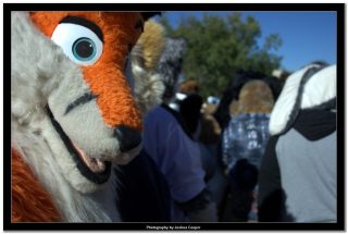 IMG_0805.jpg