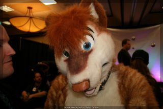 IMG_9447.jpg