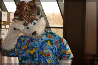 IMG_9467.jpg