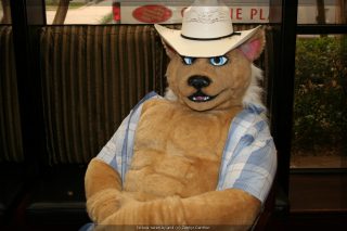 IMG_9529.jpg