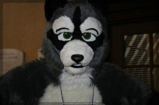 IMG_9545.jpg