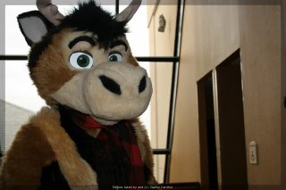 IMG_9547.jpg
