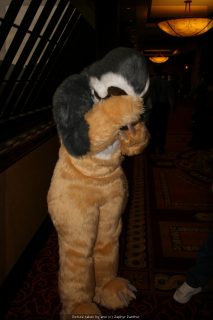 IMG_9561.jpg