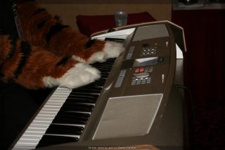 IMG_9616.jpg
