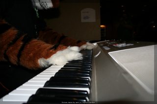 IMG_9627.jpg