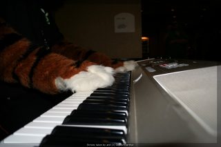 IMG_9628.jpg